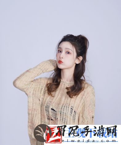 群臣的共享公主银羽：骄傲的羽毛与深藏的智慧