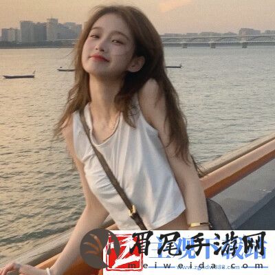 小骨英雄杀手强击效果揭秘：解锁终极战术-称霸竞技场