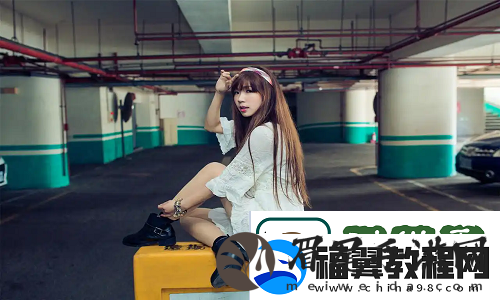 菠萝蜜在线观看免费观看电视