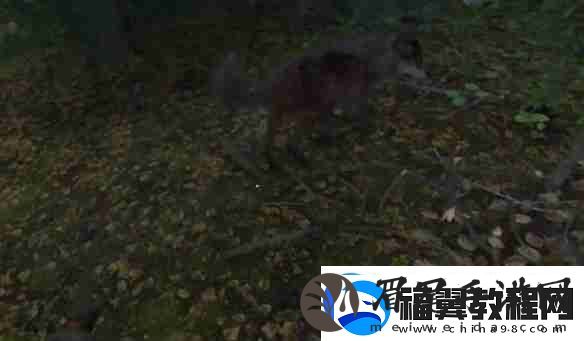 天国拯救2狼群中的羊任务怎么做