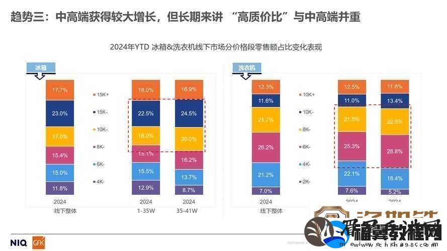探索BBWBBW文化：国内另类审美趋势的兴起与影响分析