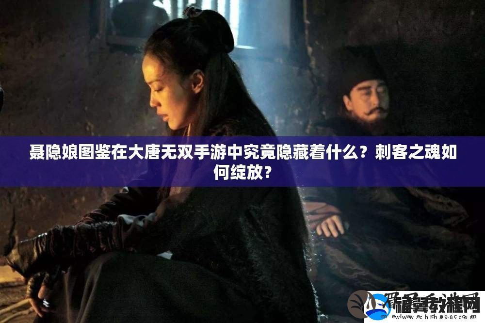 聂隐娘图鉴在大唐无双手游中究竟隐藏着什么