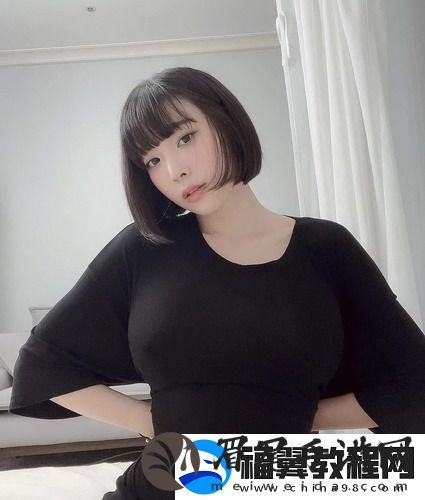 日本Windows Server毛效能如何提升？网友：各有千秋，听听他们的看法！