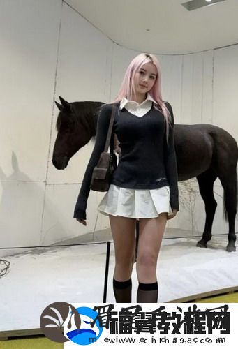 麻豆媒体APP是否能满足你的娱乐需求？绝对值得一试！