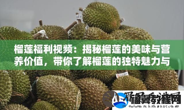 榴莲福利视频