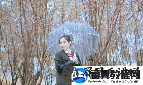 6996电视影片免费人数与人口：如何满足全球观众需求-打造多元化影视平台。