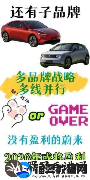蔚来汽车雄心勃勃