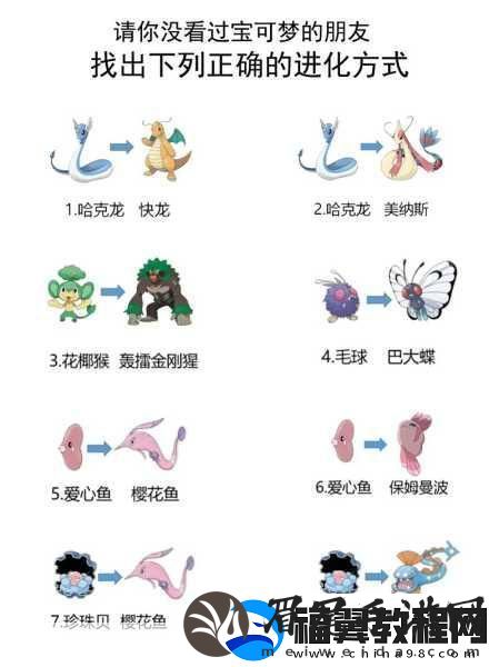 口袋妖怪进化之旅