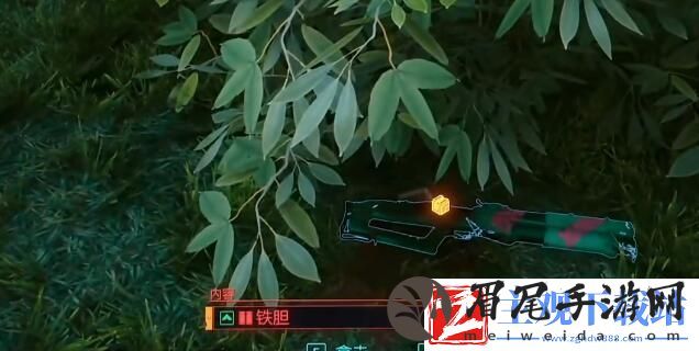 赛博朋克2077铁胆怎么获得铁胆获得方法介绍聚匠游戏网