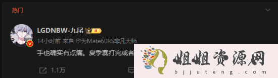 王者荣耀选手九尾或因手伤退役：今年打完就歇了