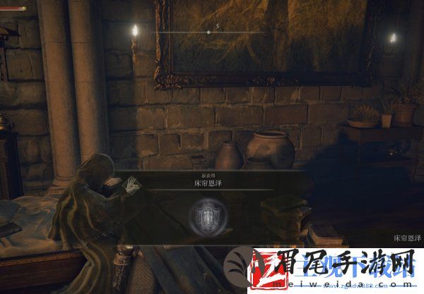 艾尔登法环菲雅支线任务怎么做