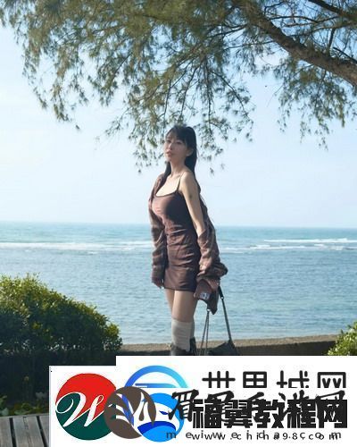 人与动物免费观看电视剧的软件