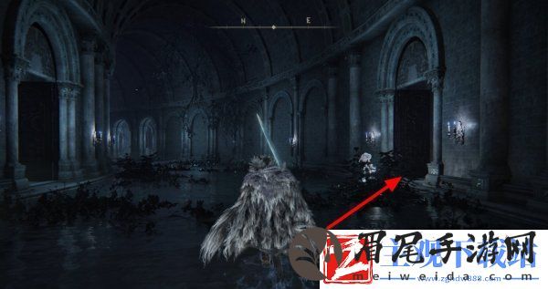 艾尔登法环菲雅支线任务怎么做