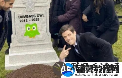 多邻国猫头鹰去世上热搜