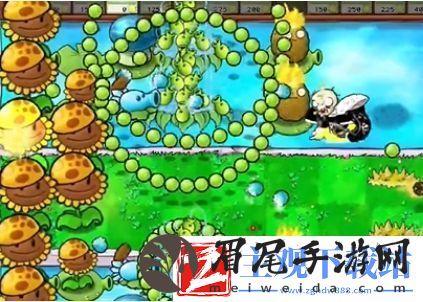 植物大战僵尸杂交版冒险模式第16关怎么通关