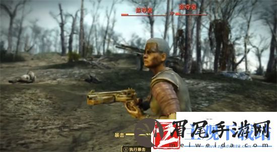 辐射4人物状态如何查看