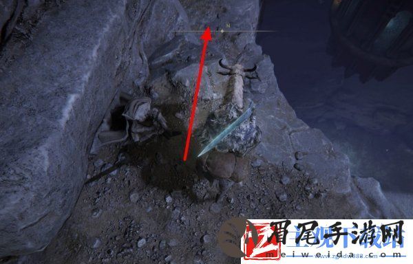 艾尔登法环菲雅支线任务怎么做