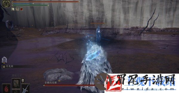 艾尔登法环菲雅支线任务怎么做