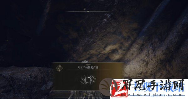 艾尔登法环菲雅支线任务怎么做