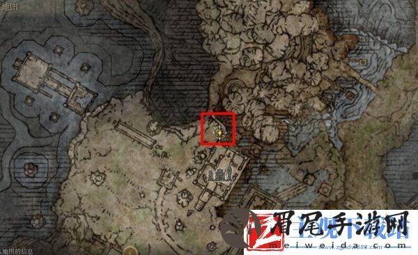 艾尔登法环菲雅支线任务怎么做