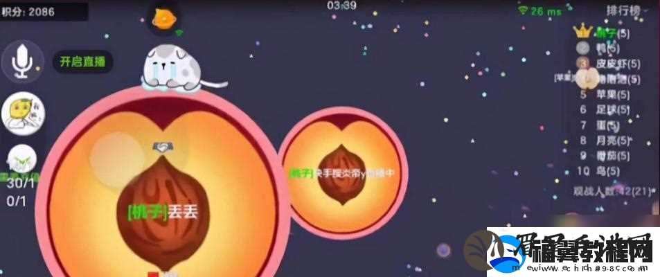 球球大作战大神TV知途杯怎么参加