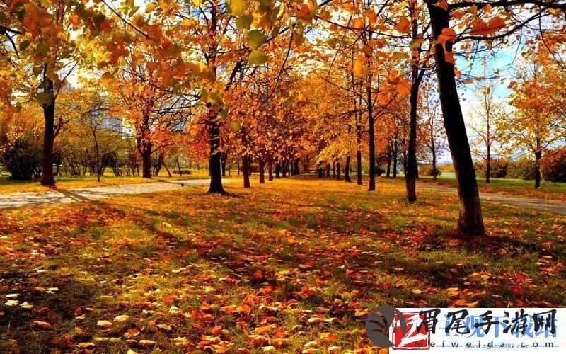 给我c1v1娱乐圈