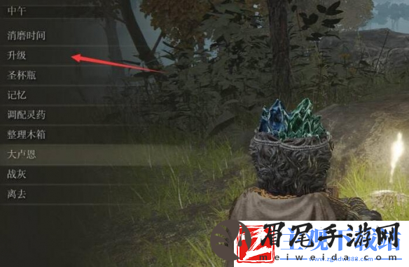 艾尔登法环人物怎么升级