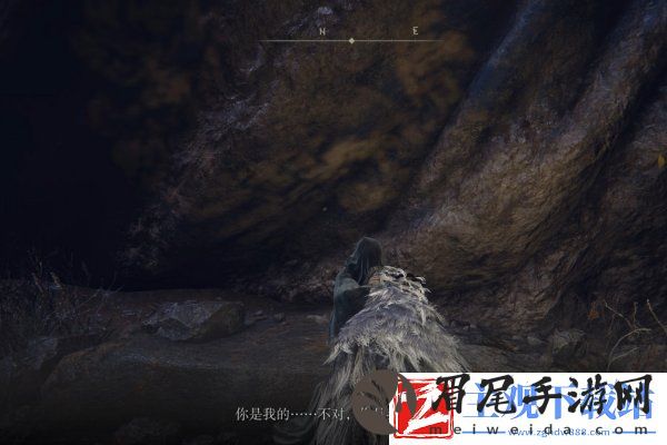艾尔登法环菲雅支线任务怎么做