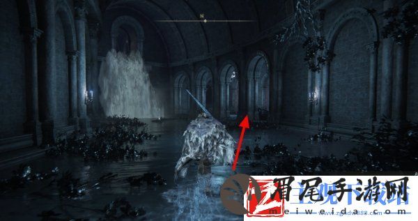 艾尔登法环菲雅支线任务怎么做