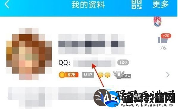 qq从哪里看用了多少年