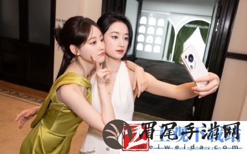 人狗胶配方大全免费天气预报：带你探索宠物护理与天气变化的智慧
