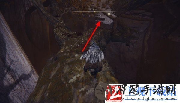艾尔登法环菲雅支线任务怎么做
