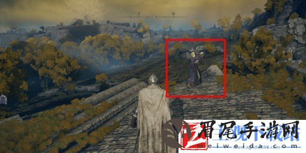 艾尔登法环肯尼斯海德支线任务怎么做