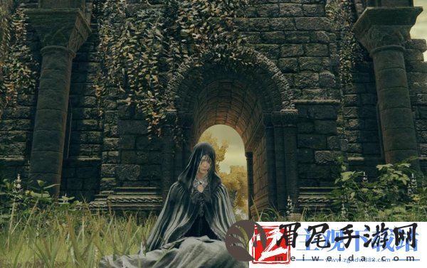 艾尔登法环菲雅支线任务怎么做