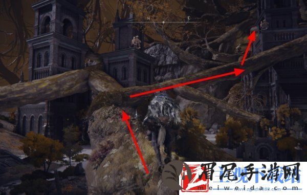 艾尔登法环菲雅支线任务怎么做