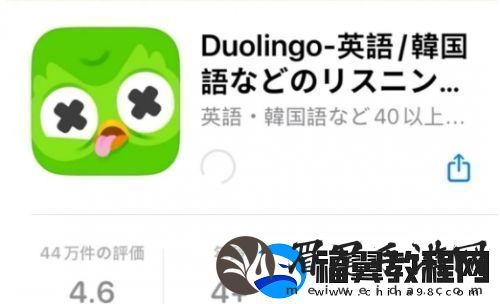 多邻国猫头鹰去世上热搜