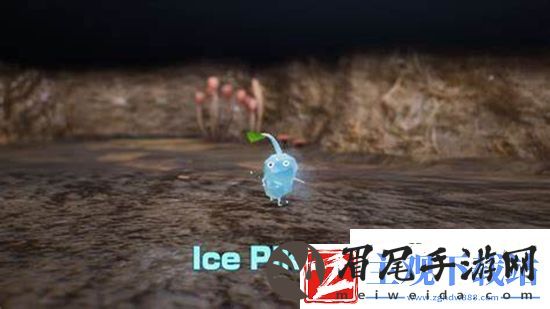 皮克敏4密码箱密码是什么