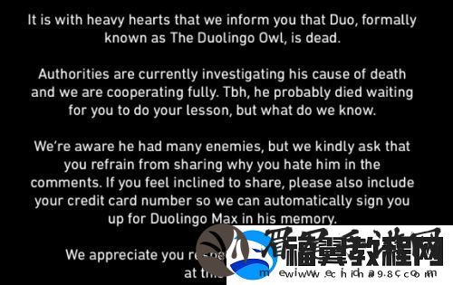 多邻国猫头鹰去世上热搜