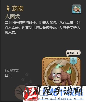ff14人面犬宠物怎么获得