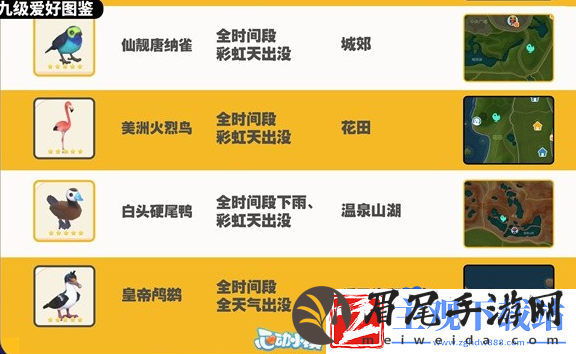 心动小镇观鸟图鉴有哪些