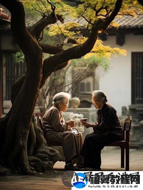 老妪性老太色HD老生成：揭秘老年人情感世界的真实面貌与心理需求