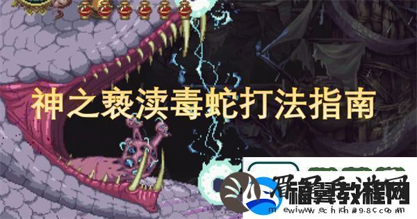 神之亵渎毒蛇打法指南