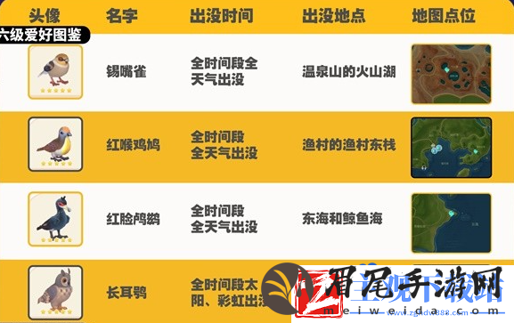 心动小镇观鸟图鉴有哪些