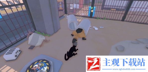 小猫咪大城市遇到一只鸟儿成就达成