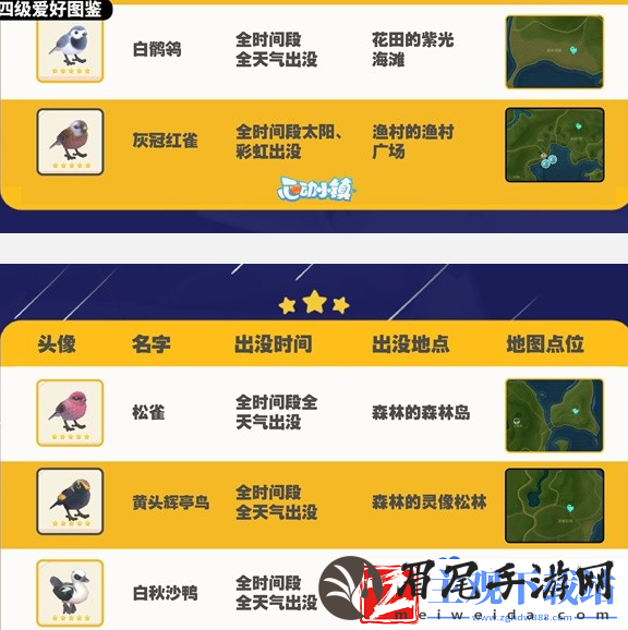 心动小镇观鸟图鉴有哪些