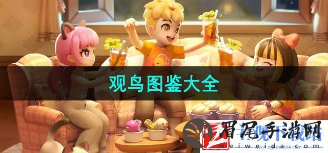 心动小镇观鸟图鉴有哪些