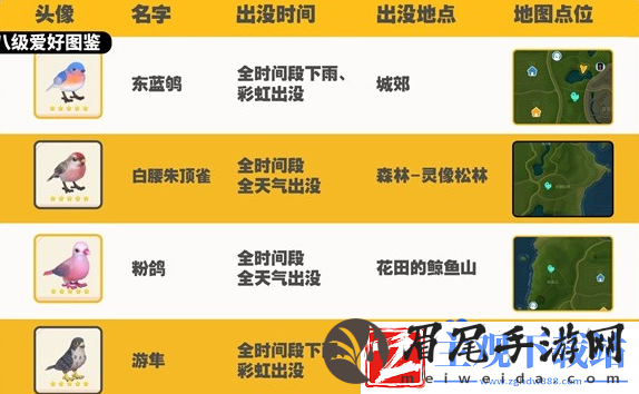 心动小镇观鸟图鉴有哪些