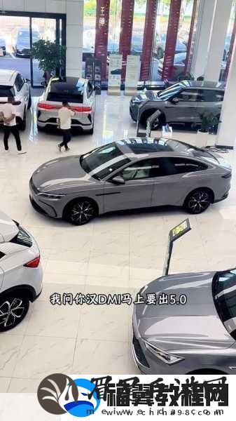 比亚迪2025新车阵容璀璨夺目