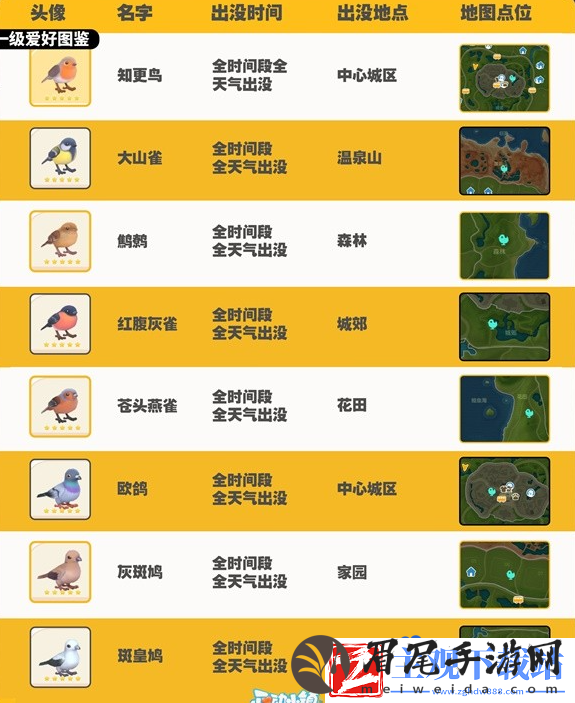 心动小镇观鸟图鉴有哪些