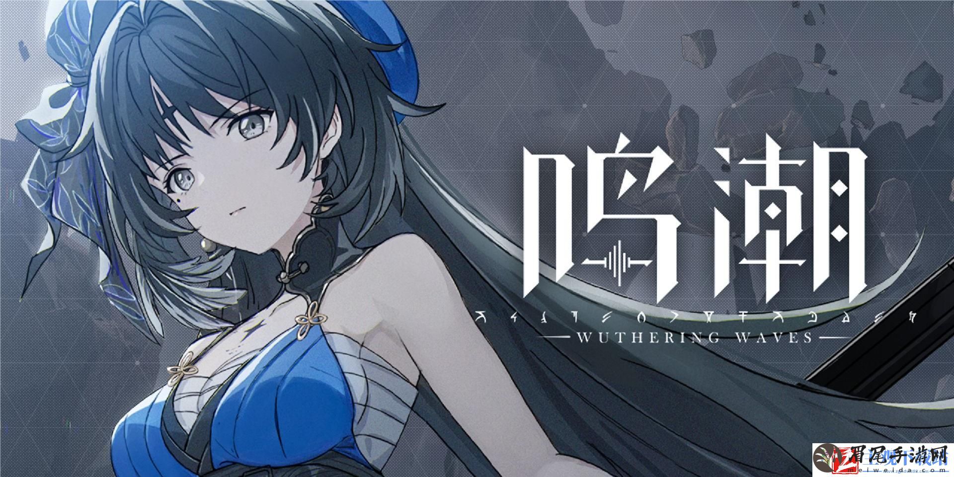 鸣潮白芷声骸怎么选择